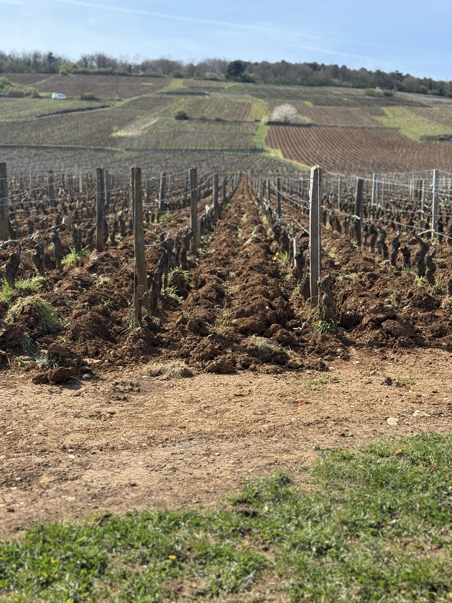 Burgundy 2025 – A Journey to Beaune: Wine, Warmth, and Wonderful People