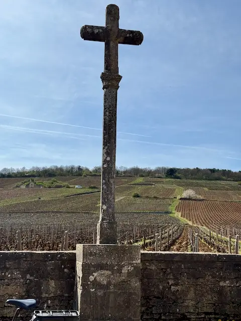 The Three Grapes Indiana Has to Crush (And Why This Weekend Proved We’re Doing It)